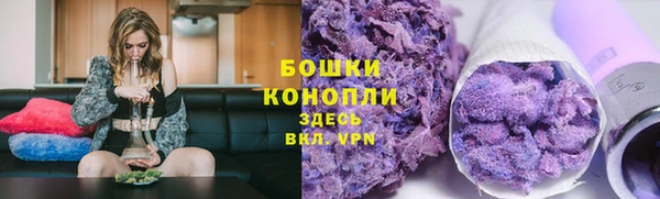 метадон Богданович