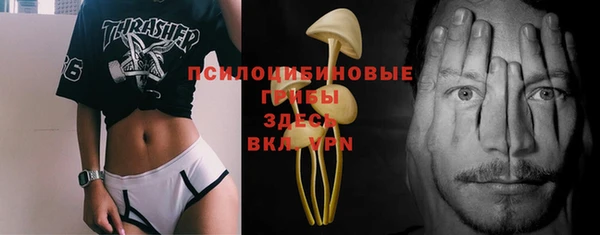 метадон Богданович