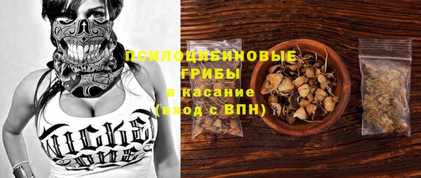 метадон Богданович