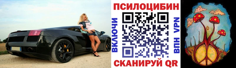 дарк нет официальный сайт  Козельск  Псилоцибиновые грибы мухоморы 